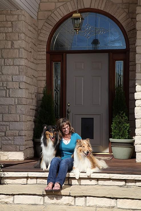 PetSafe Single Panel Replacement Pet Door Insert with Paintable Frame Specifically Designed for Panel Doors, Durable Plastic Frame, Snap-On Closing Panel, for Dogs (up to 220 lbs)
